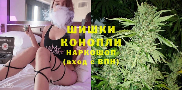 крисы Богородск