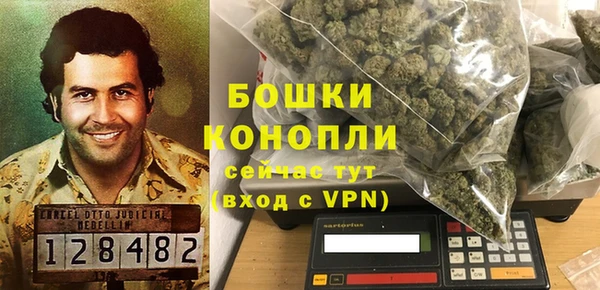 крисы Богородск